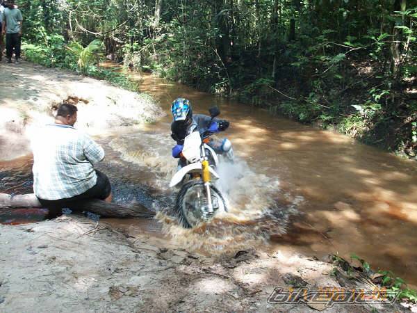 Photo 98637