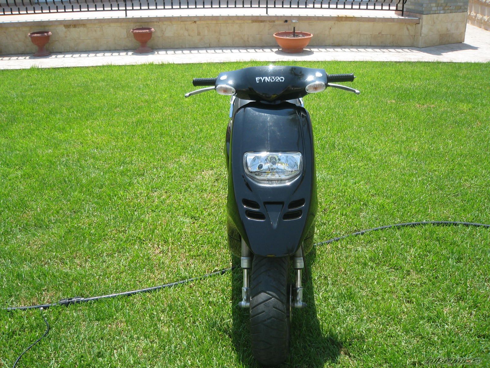 Photo 989221