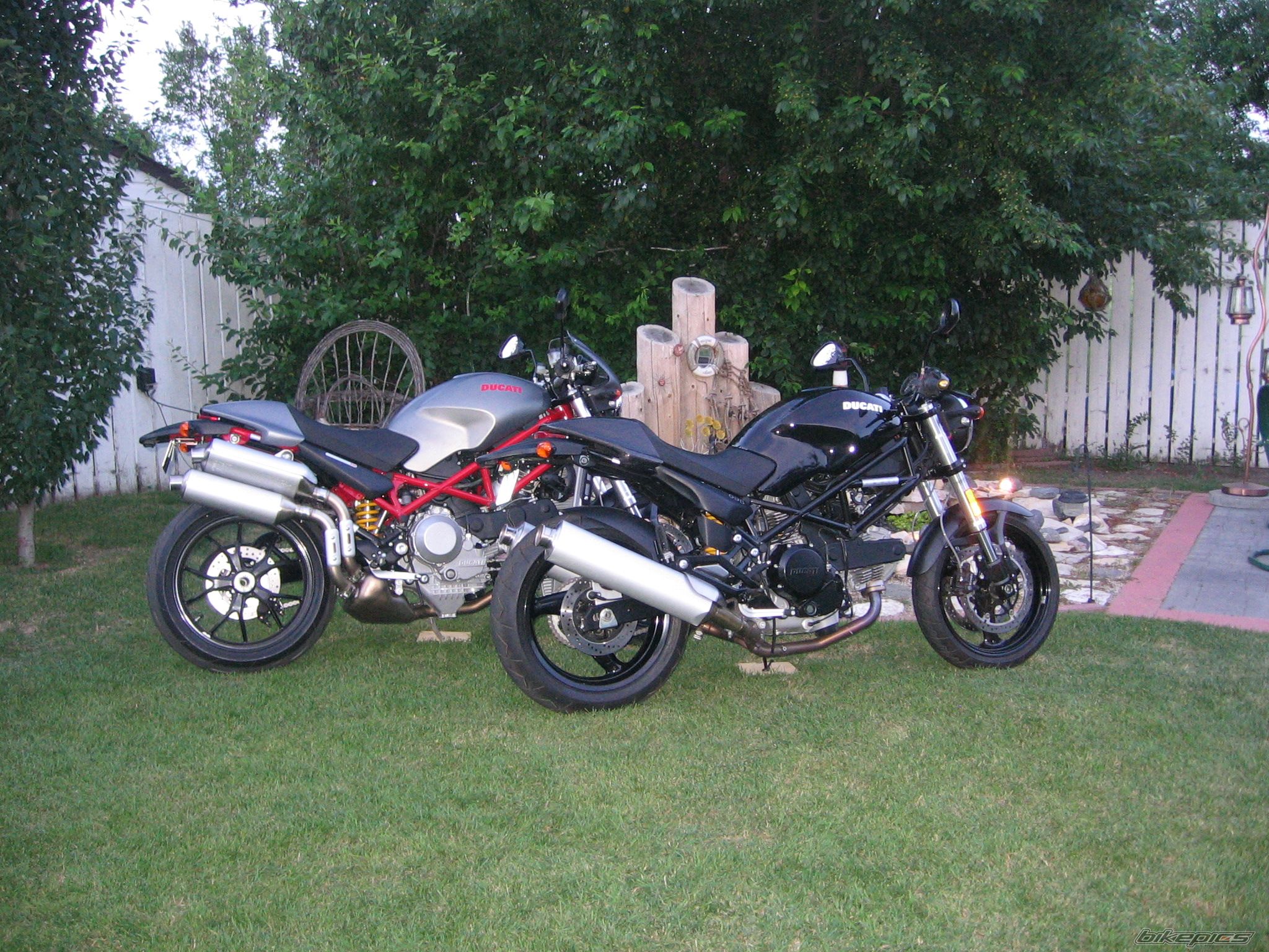 Photo 992979