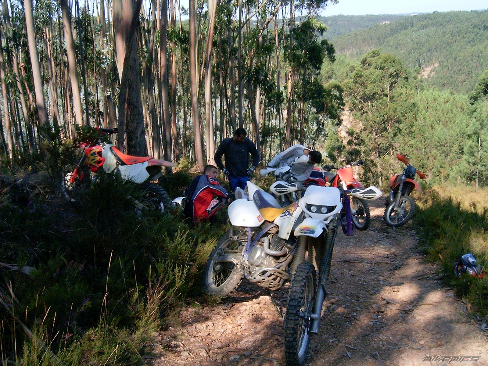 Photo 998253