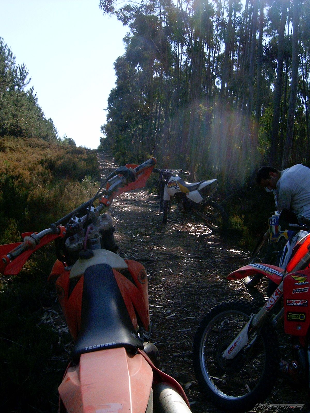 Photo 998254